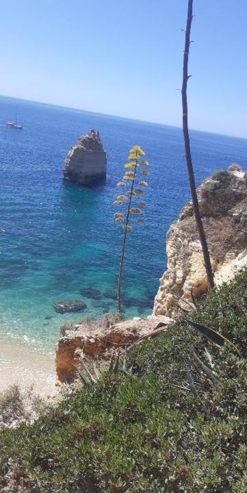 Nid De Reve Διαμέρισμα Armação de Pêra Εξωτερικό φωτογραφία